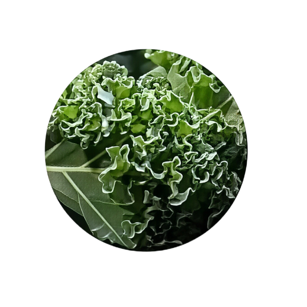 LUTEIN. 10 mg